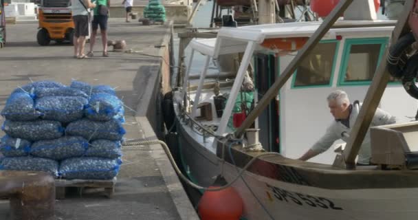 Lasta av fiskare på kajen i Cattolica harbor — Stockvideo