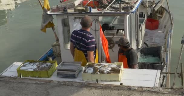 Un pescar vinde peştele proaspăt prins — Videoclip de stoc