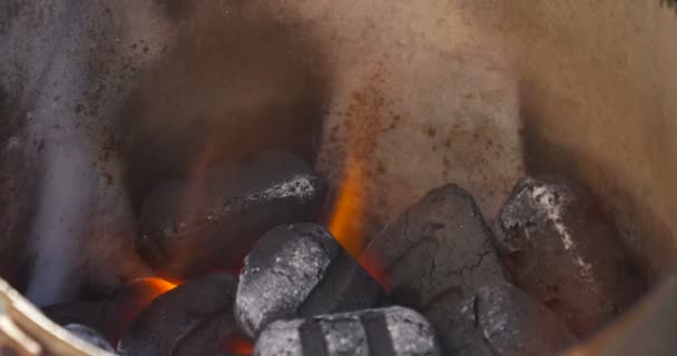 Barbecue BBQ-briketten — Stockvideo