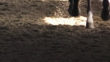 Dört nala koşan at yavaş çekimde kumlu kanalında toynakları closeup