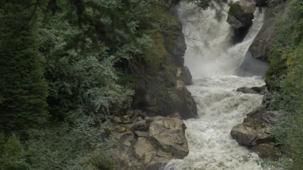 Horský Potok Protéká Lesy Italských Alpách — Stock video