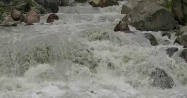 Rio Ridanna Ein Wildwasserbach Den Italienischen Alpen — Stockvideo