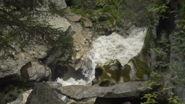 Arroyo Montaña Que Fluye Través Bosques Los Alpes Italianos — Vídeos de Stock