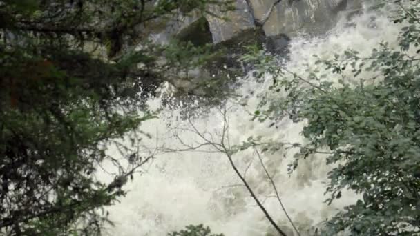 Mountain Creek Flyter Genom Skogen Italienska Alperna — Stockvideo