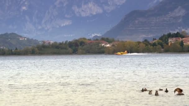 Pusiano Italien Oktober 2017 Brandbekämpning Flygplan Canadair Påfyllning Från Sjön — Stockvideo