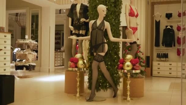 Сексуальні Жіночі Манекени Всередині Вітрини Модного Будинку — стокове відео