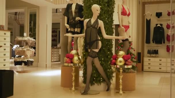 Maniquíes Femeninos Atractivos Dentro Escaparate Casa Moda — Vídeos de Stock