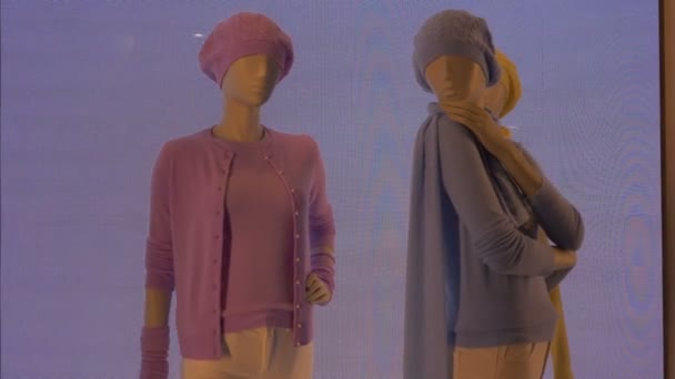 Mannequins Féminins Colorés Sur Fond Vidéo Bruit — Video