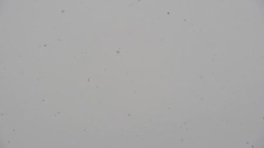 Kar yağışı bulutlu gökyüzü üzerinde ağır çekimde. Gerçek yağan kar. Uçan Kar taneleri