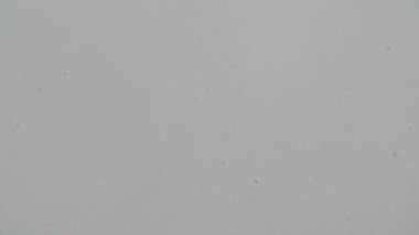 Kar yağışı bulutlu gökyüzü üzerinde ağır çekimde. Gerçek yağan kar. Uçan Kar taneleri