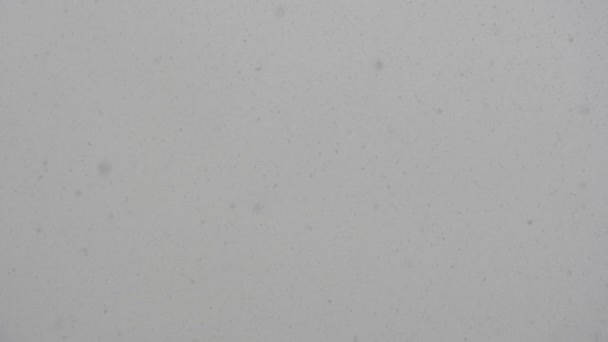 Sneeuwval Slowmotion Bewolkte Hemel Echte Vallende Sneeuw Vliegende Sneeuwvlokken — Stockvideo