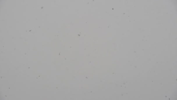 Snowfall Slow Motion Cloudy Sky Real Falling Snow Flying Snowflakes — Stock Video