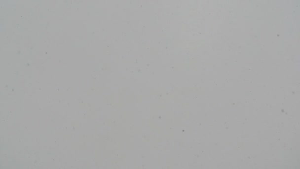 Opady Śniegu Zwolnionym Tempie Zachmurzone Niebo Prawdziwe Padający Śnieg Latający — Wideo stockowe