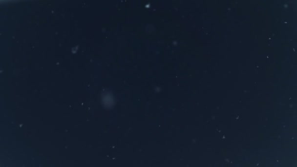 Schneefall Zeitlupe Nachthimmel Echter Schneefall Fliegende Schneeflocken — Stockvideo