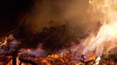 Orman yangını yakın çekim