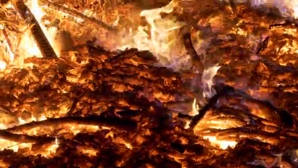 Feu de forêt gros plan 