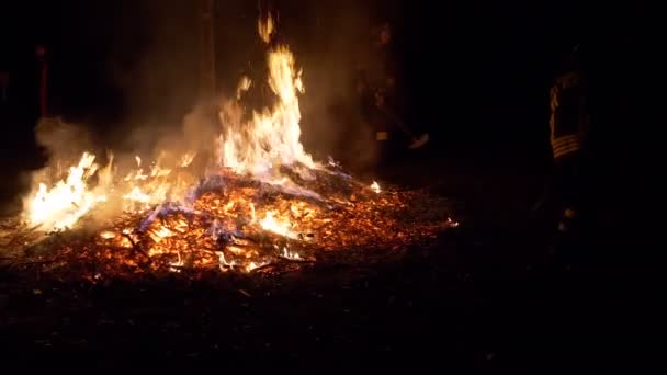 Πυρκαγιά δάσος πυροσβέστης αργή κίνηση — Αρχείο Βίντεο
