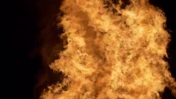 Flammande eld flamma — Stockvideo