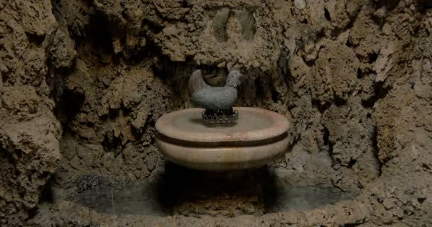 Ancient Roman Bath Fountain — Stock Video