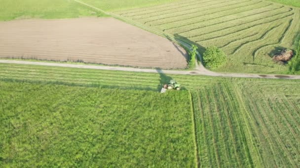 Zielony ciągnik Siano Cutter Widok z lotu ptaka — Wideo stockowe