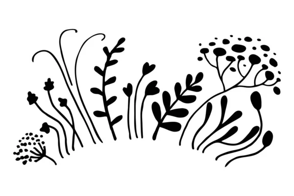 Simple set of outlandish hand drawn black line different herbs and flowers. Bunch of flowers in form of an arch. Vector illustration on white background — Stock Vector