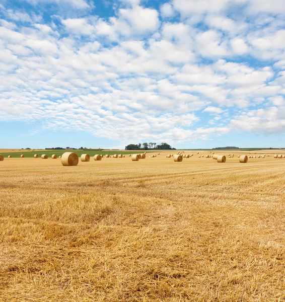 Gelb Goldene Strohballen Stoppelfeld Sommerlandschaft Unter Blauem Himmel Mit Wolken — Stockfoto