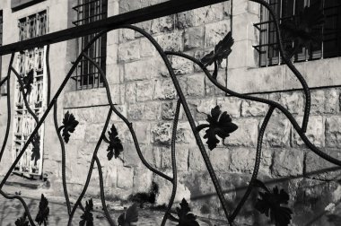 Asma dalları ve arka planda eski taşlarla çit döşemek. Akdeniz kırsal yaşam tarzı. Siyah beyaz tarihi fotoğraf.