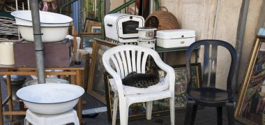 Önemsiz mutfak ve kedi, hostes olarak, Jaffa (Israil) bit pazarında sandalyede oturuyor. Evsizlik kavramı.