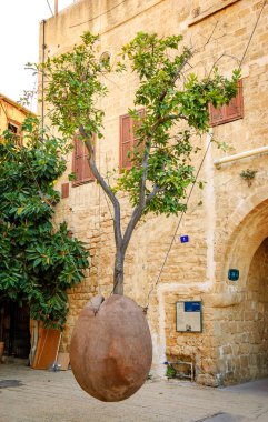Tel Aviv, İsrail - 18 Şubat 2014: Yüzen portakal ağacı İsrailli heykeltıraş Ran Morin tarafından. Eski sanat galerileri ve sanat gizleme Jaffa'nın Dar sokaklarda çok sayıda turist her yıl çekmek..