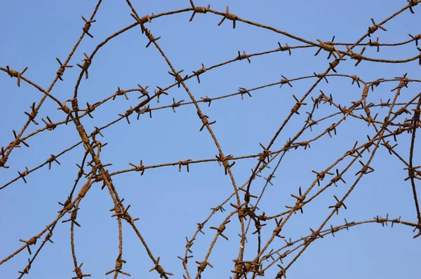 青空錆びた有刺鉄線 戦争および投獄の概念 — ストック写真