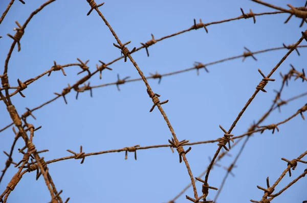 Roestige Prikkeldraad Tegen Blauwe Hemel Oorlog Gevangenschap Concepten — Stockfoto