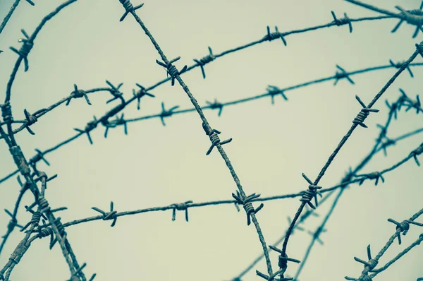 Rozsdás Szögesdrót Ellen Blue Sky Háború Bebörtönzését Fogalmak Tónusú Fénykép — Stock Fotó