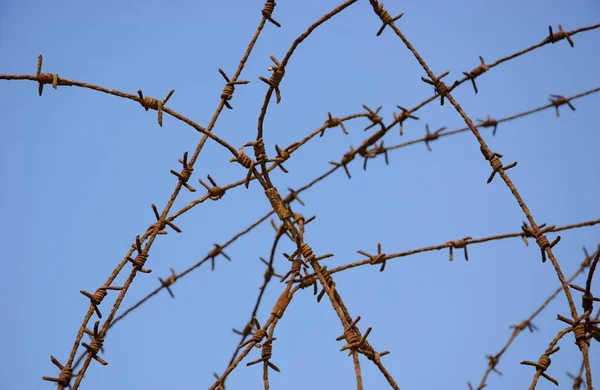 Roestige Prikkeldraad Tegen Blauwe Hemel Oorlog Gevangenschap Concepten — Stockfoto