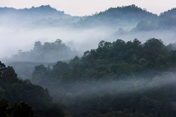 Yağmur ormanları ve sis kaplı dağlar, Tayland — Stok fotoğraf