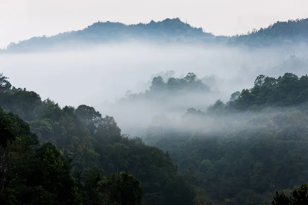 Florestas tropicais e montanhas cobertas de névoa, Tailândia — Fotografia de Stock
