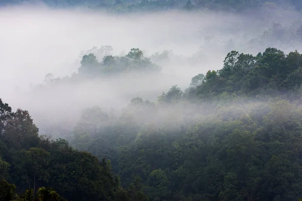 Selvas tropicales y montañas cubiertas de niebla, Tailandia — Foto de Stock
