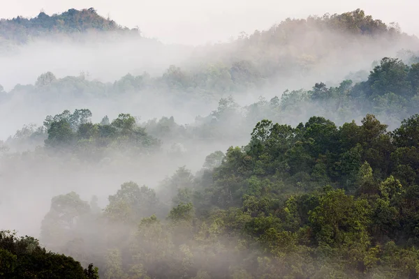 Selvas tropicales y montañas cubiertas de niebla, Tailandia —  Fotos de Stock