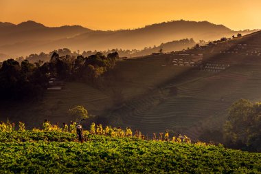 Mae Chaem Royal projesi, Chiang Mai