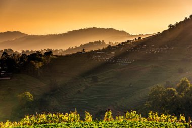 Mae Chaem Royal projesi, Chiang Mai