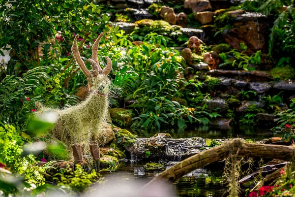 Imitație naturală amenajarea teritoriului folosind plante tropicale . — Fotografie, imagine de stoc