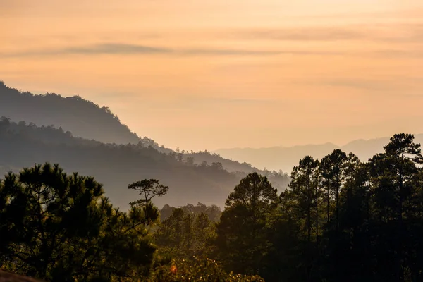 Atardecer de selva tropical — Foto de Stock