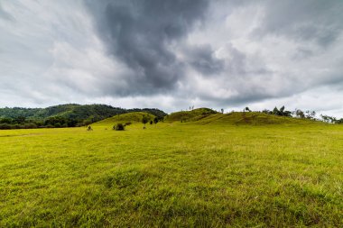 Dağ çim Ranong Eyaleti, Thailan