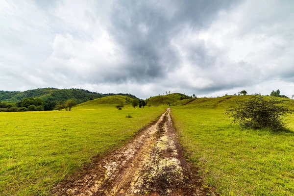 Mountain grass Ranong Province, Thailan — Stock Photo, Image