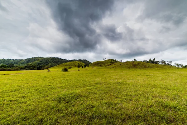 Dağ çim Ranong Eyaleti, Thailan — Stok fotoğraf