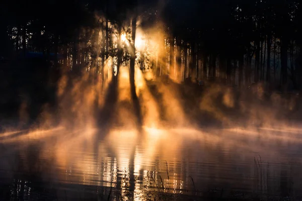パン-ung、タイの松林で日の出 — ストック写真