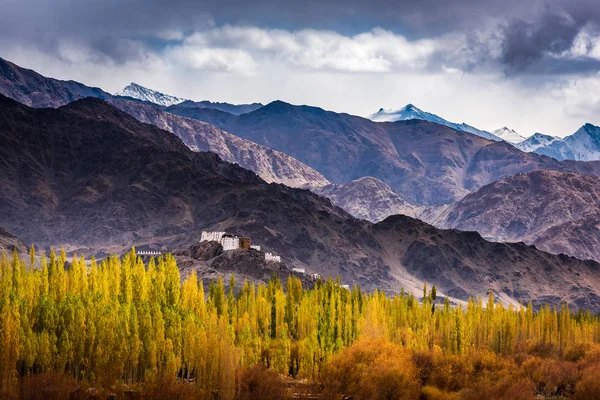 Leh vue sur la ville depuis Leh Palace, Leh, Ladakh — Photo