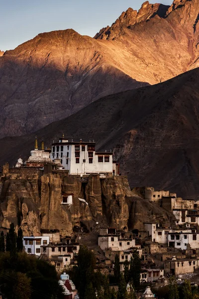 Leh Palace Mosteiro Centro Cidade Leh Jammu Índia — Fotografia de Stock