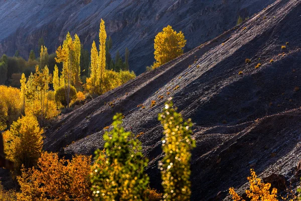 Leh Ladakh Schöne Landschaft Himalaya Gebirge — Stockfoto