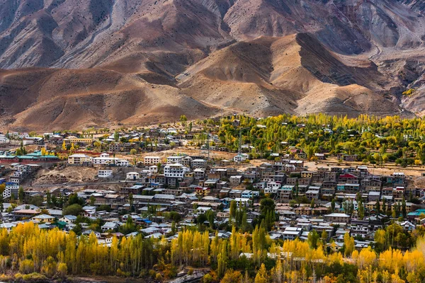 Hermoso Paisaje Vertical Con Montañas Himalaya Leh Ladakh Que Paraíso —  Fotos de Stock