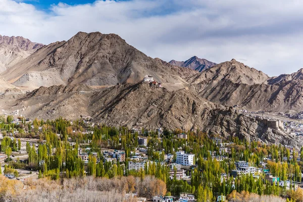 Ciudad Leh Ciudad Leh Encuentra Himalaya Indio Visto Desde Palacio —  Fotos de Stock